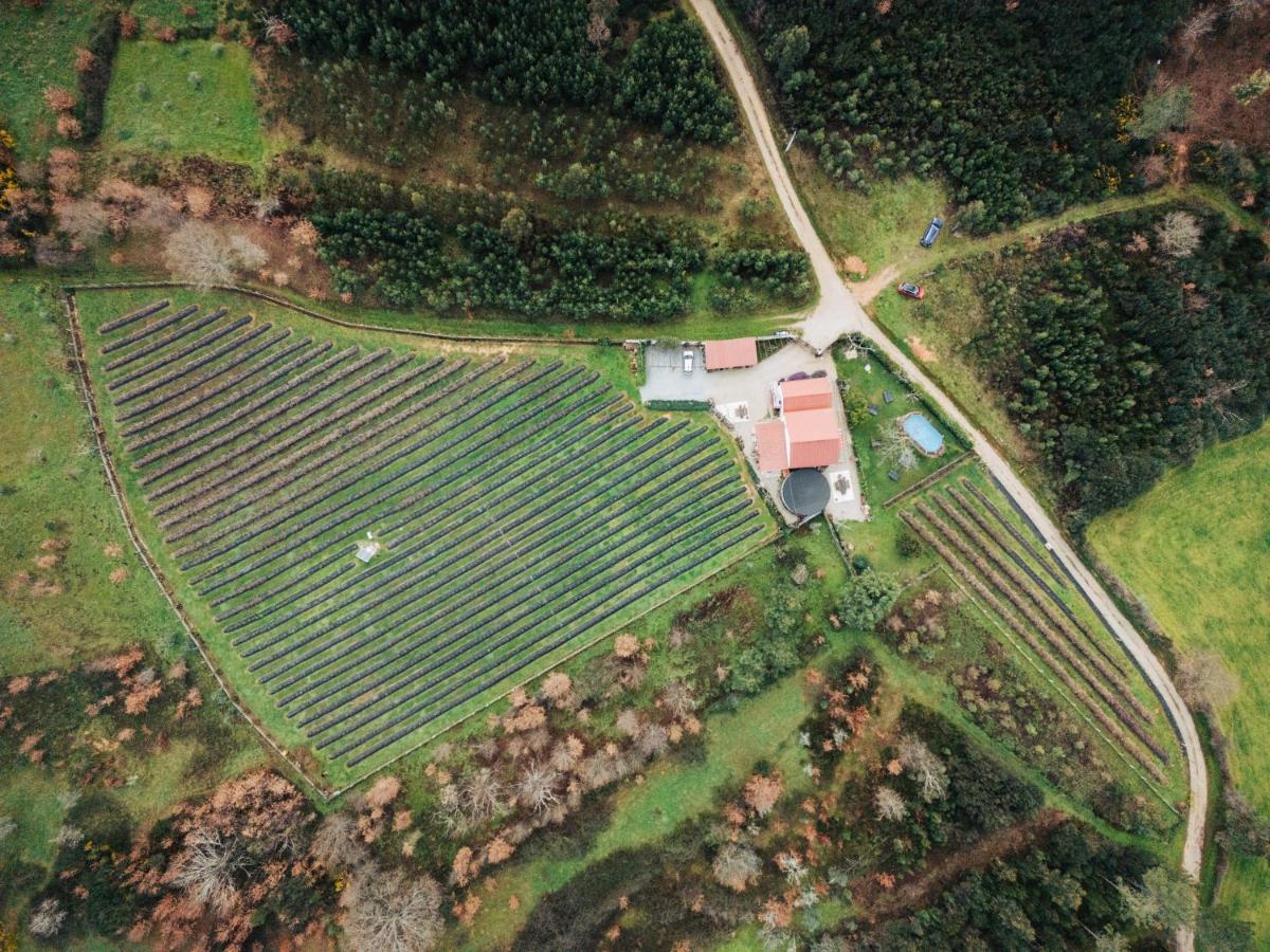 Quinta Vale Salgueiro - Chambres d’hôtes