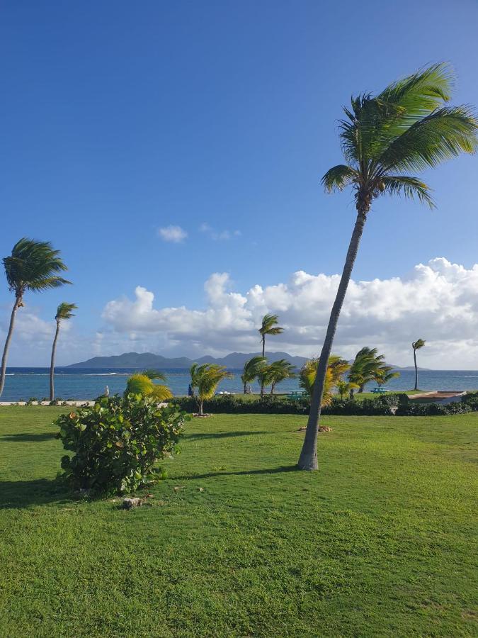 Bungalow con Vista Mare 