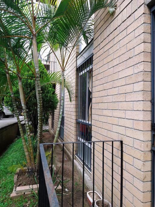 Apartamento de 2 dormitorios