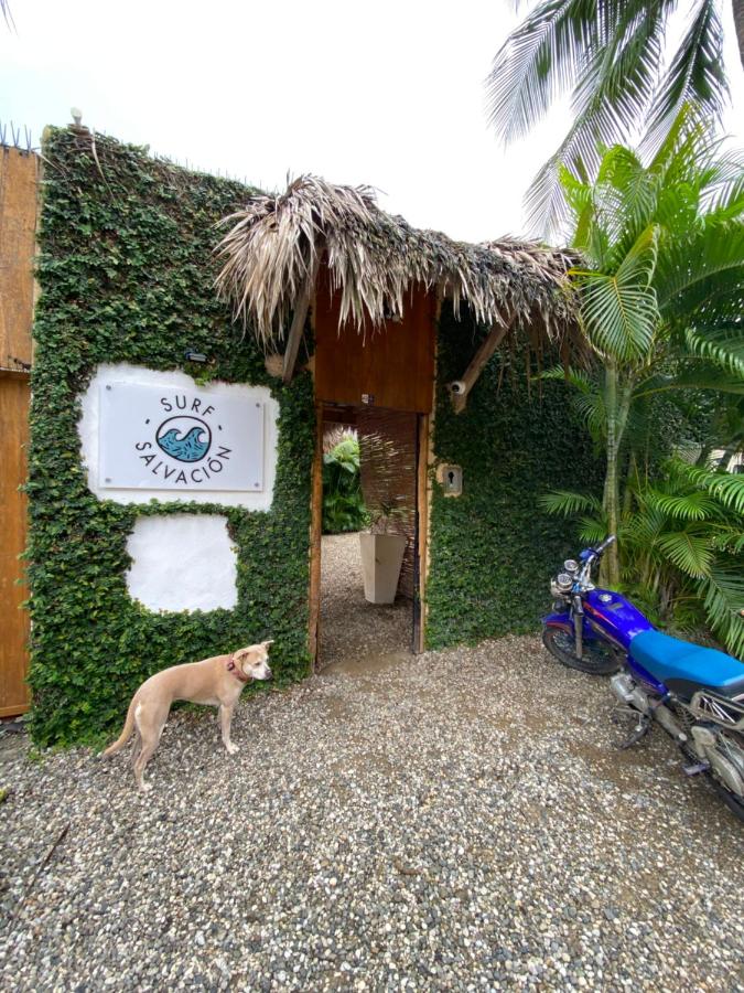 Surf Salvacion - B&B