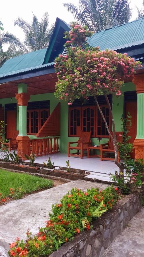 B&B Bukit Lewang - Wisma Batu Mandi and offers jungle tours - Bed and Breakfast Bukit Lewang