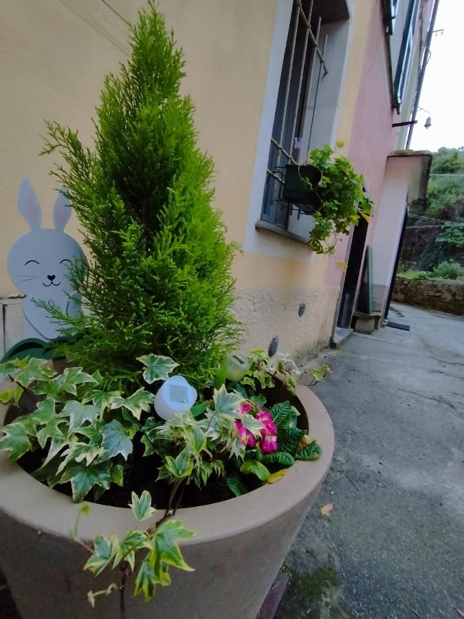 Nido al Mare - B&B