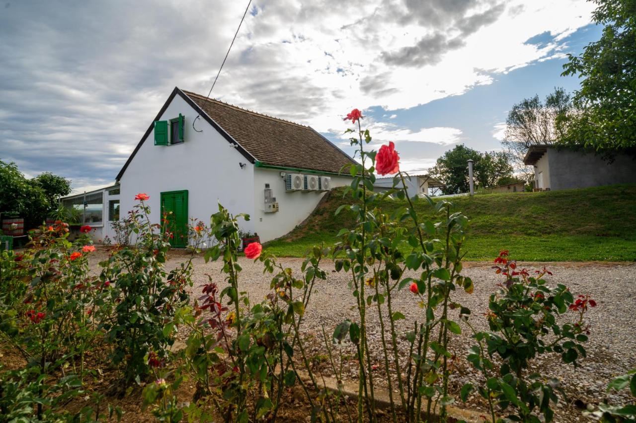 Joóbarát Vendégház - Bed and Breakfast