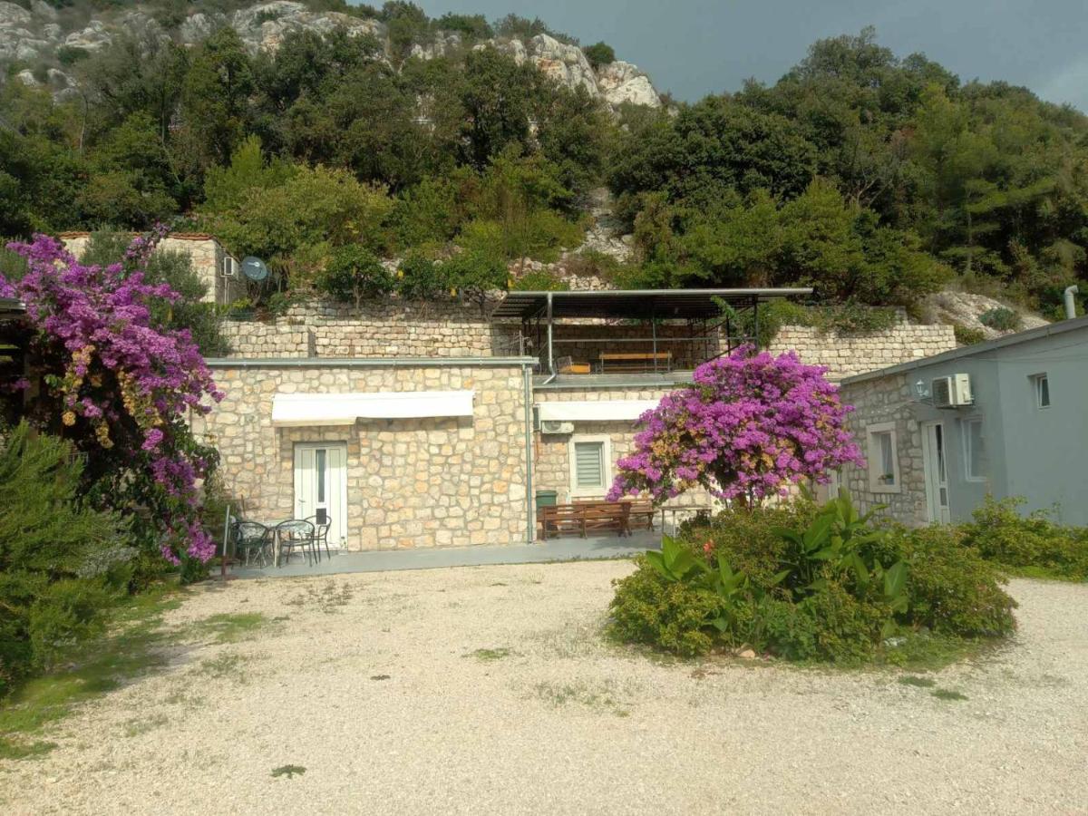 Studios Tonina - B&B Zaton