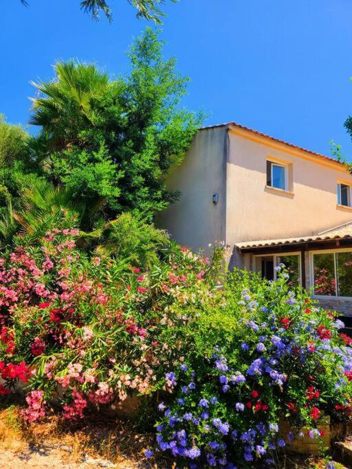 charmante petite maison au calme - B&B