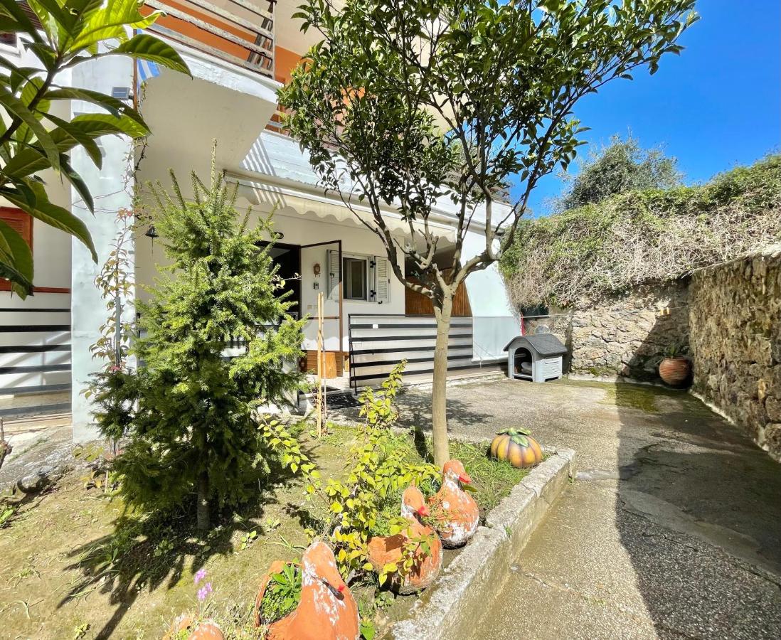 Maria's House - B&B Perama