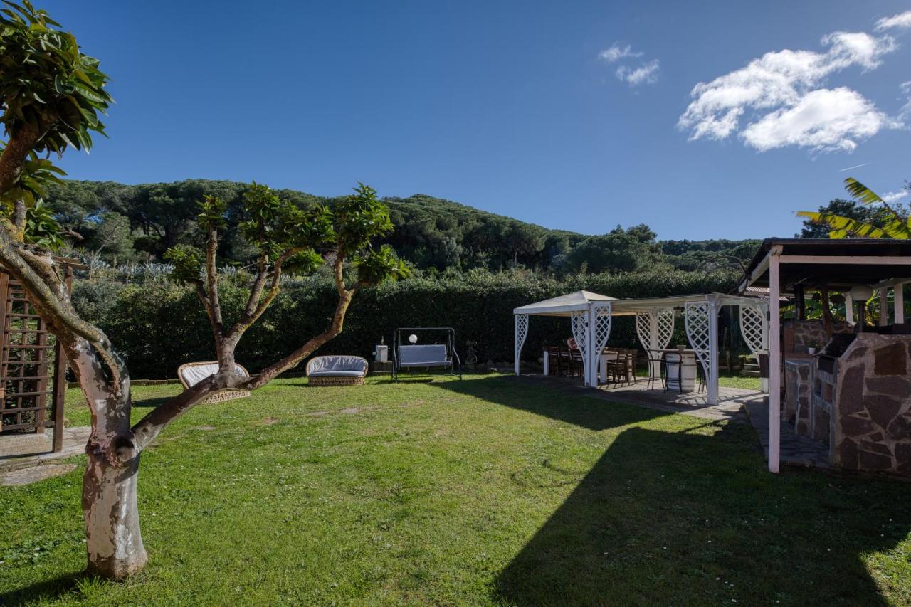 Casa Athena - Goelba - Bed and Breakfast Portoferraio