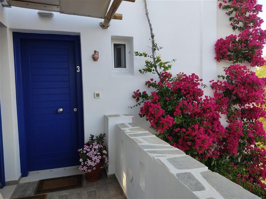 Actis studios 2 - B&B