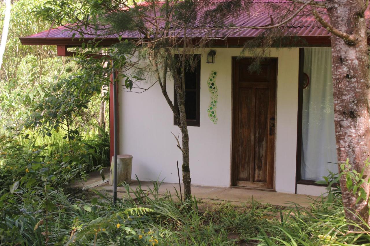 Cabina de montaña - B&B
