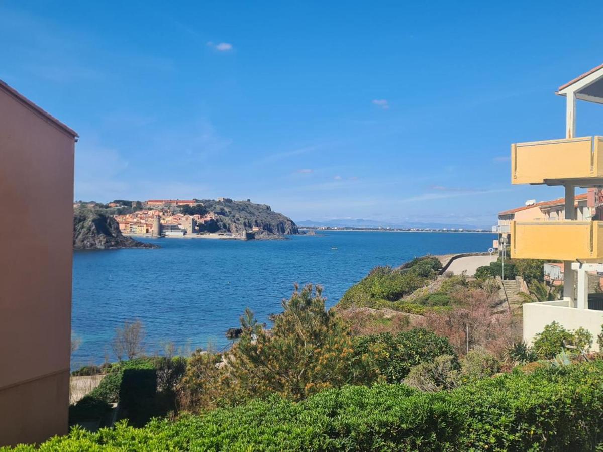 Collioure: Superbe T3 avec terrasse, face à la mer et parking - FR-1-309-376 - Chambres d’hôtes