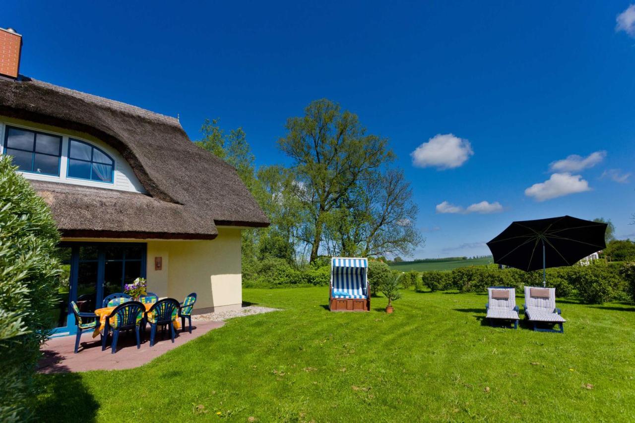 Reetdachhaus Eibe 2, Kaminofen, Sauna, 8 Personen, W-Lan - Bed and Breakfast