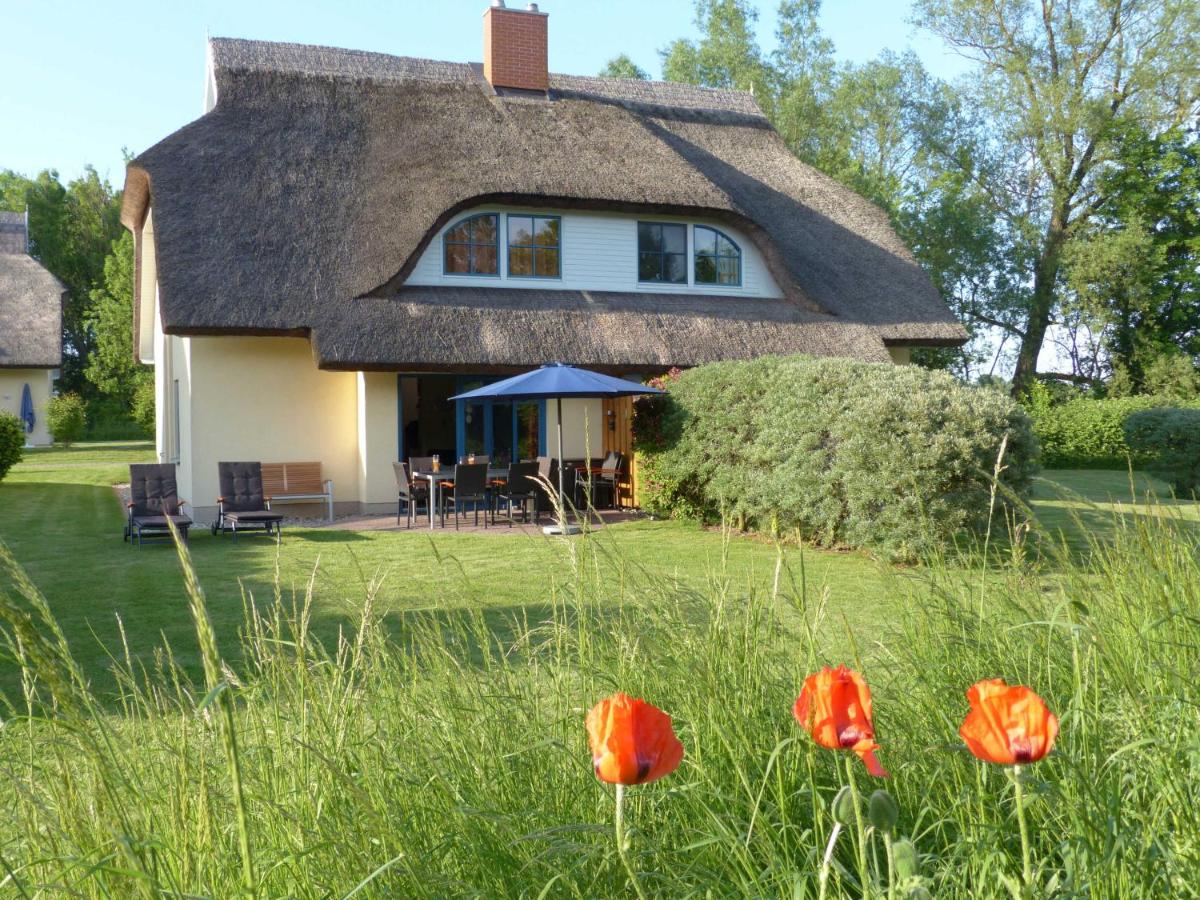 B&B Puddemin - Behagliches Reetdachhaus Eibe 1 - Bed and Breakfast Puddemin