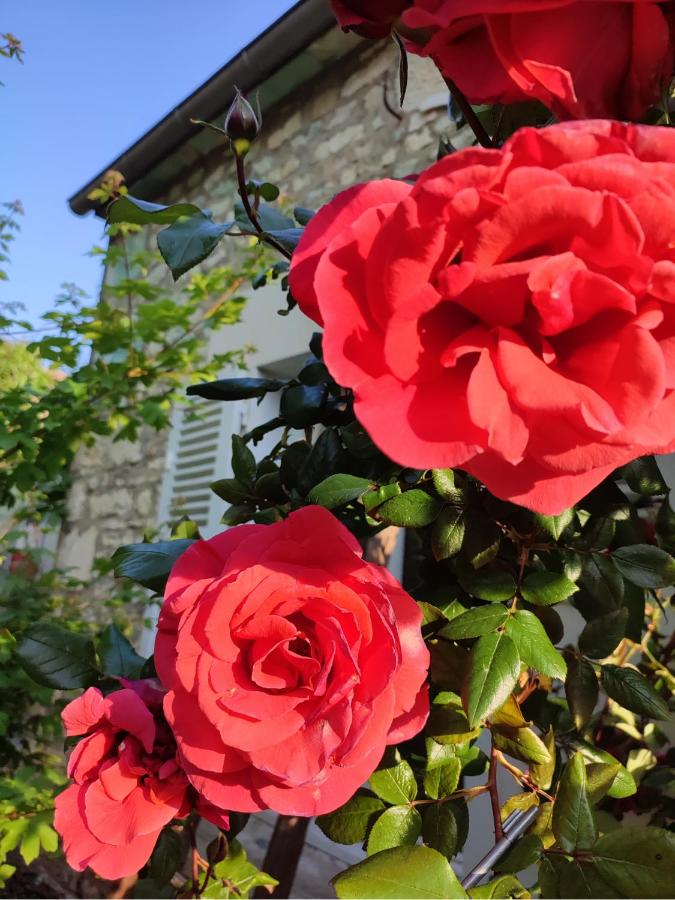 Gîte en plein coeur du vignoble chablisien - Chambres d’hôtes Courgis