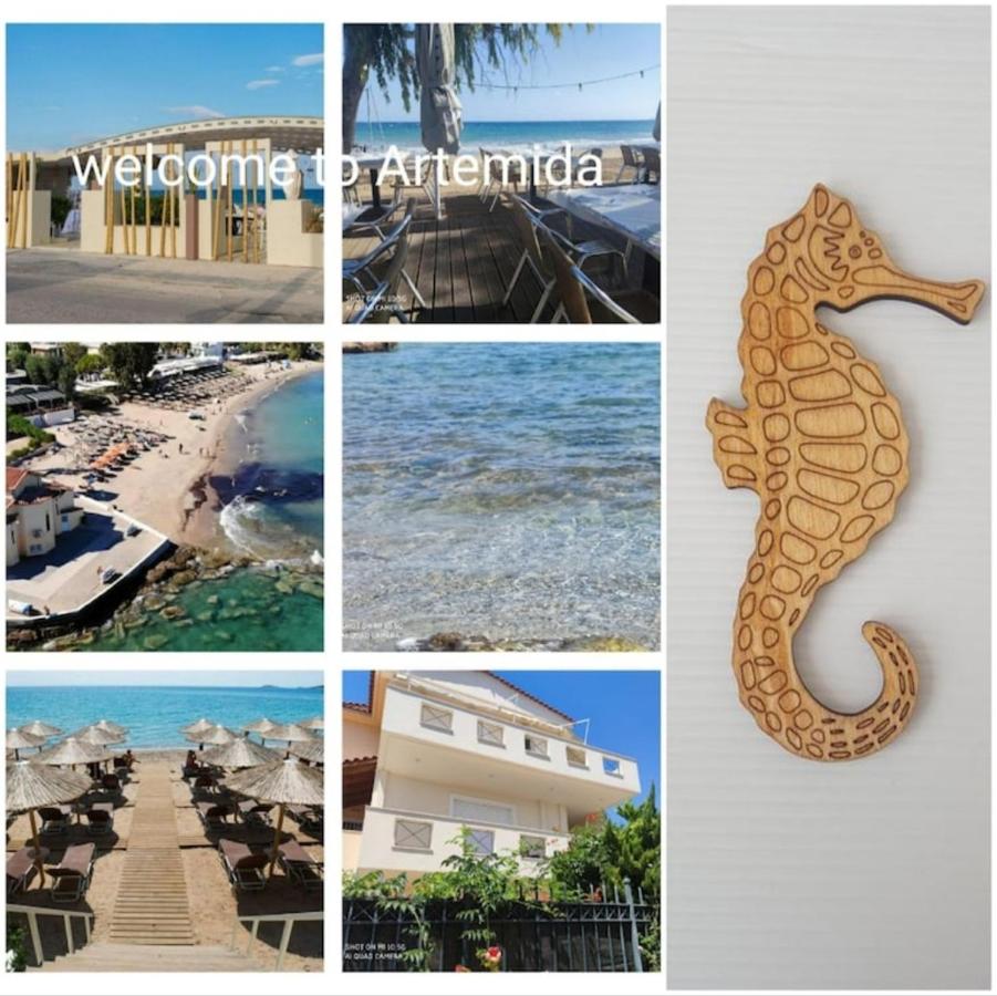 A Relaxing and Peace home for the best Vacation - Chambres d’hôtes Artémida