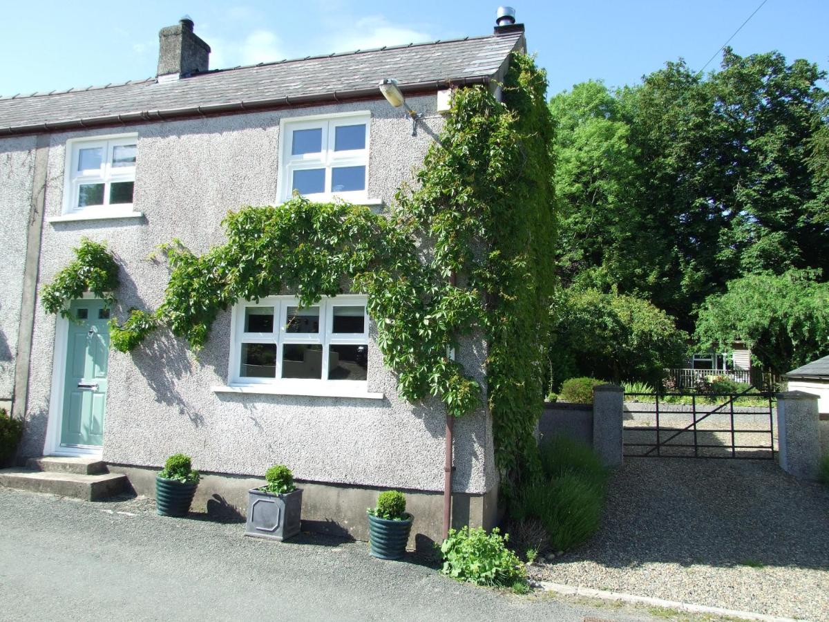 B&B Lampeter Velfrey - Manchester House Narberth - Bed and Breakfast Lampeter Velfrey