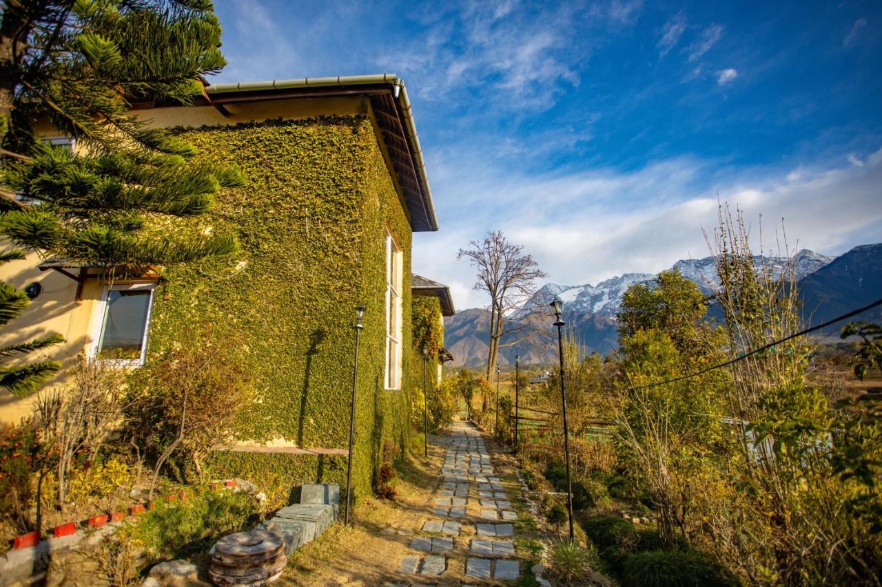 Seclude Palampur - B&B