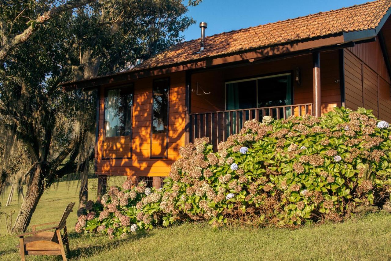 King Suite with Spa Bath