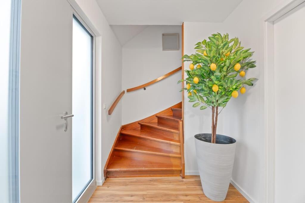 W01 Große Wohnung für Teams - Bed and Breakfast