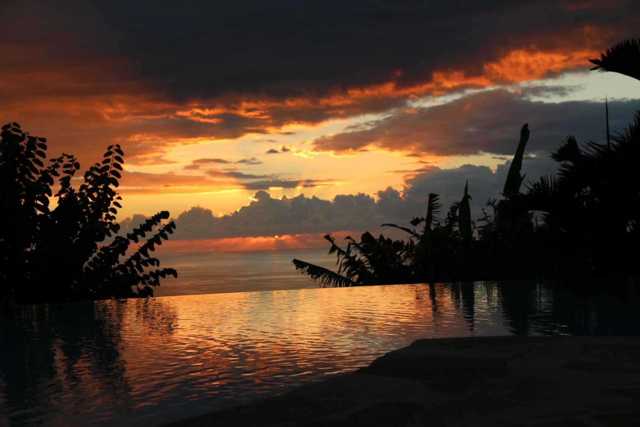 Villa Les Jacarandas - Chambres d’hôtes Les Avirons