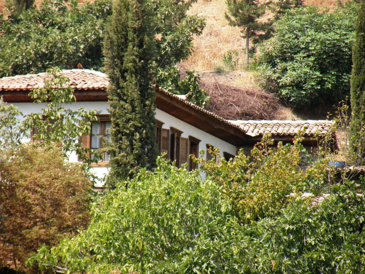 Three-Bedroom Grapevine Cottage