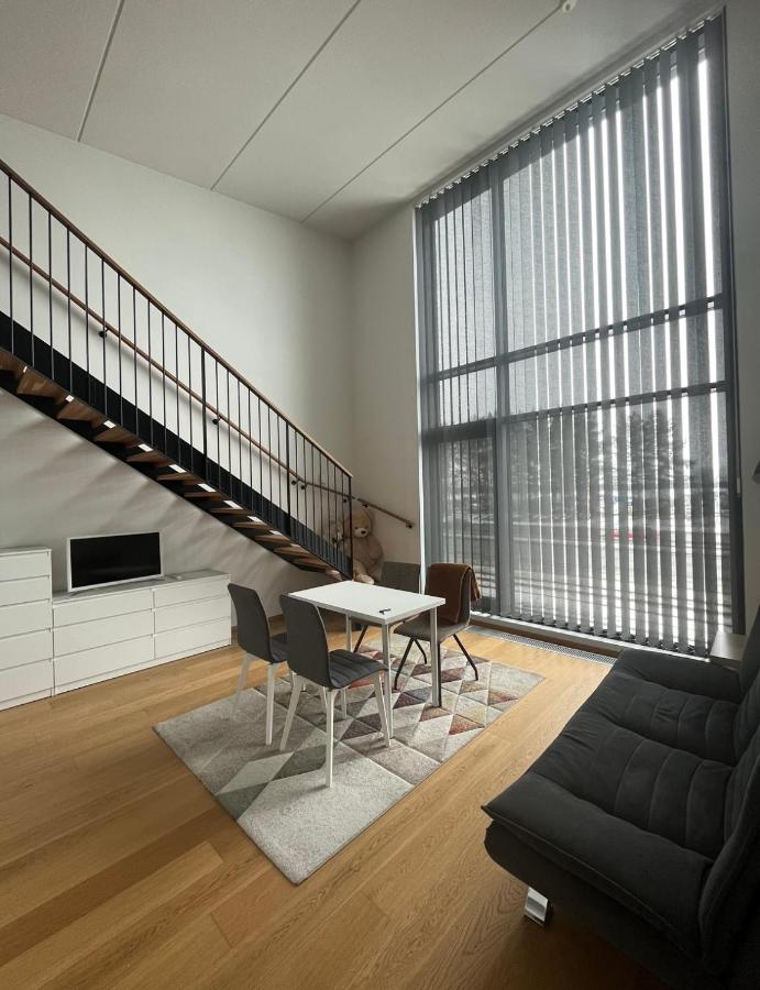 Spacious loft apartment with a lake view - Chambres d’hôtes