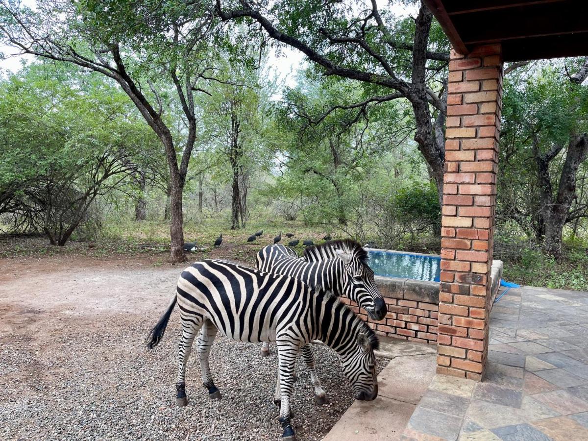 B&B Marloth Park - Soenie Kruger Safari - Bed and Breakfast Marloth Park