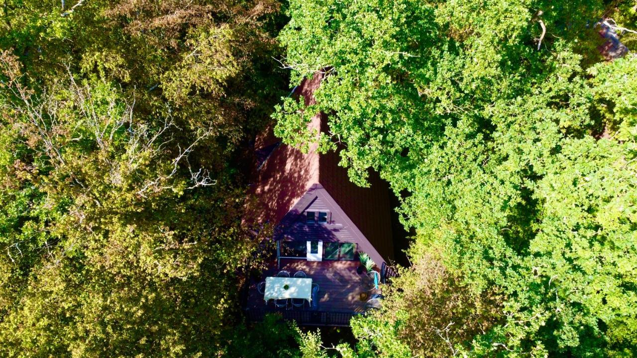 A - (frame) - Like A dream - B&B