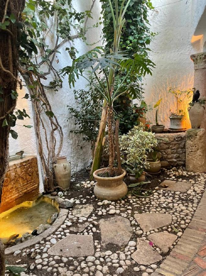 B&B Hammamet - Dar Essarouel Hammamet - Bed and Breakfast Hammamet