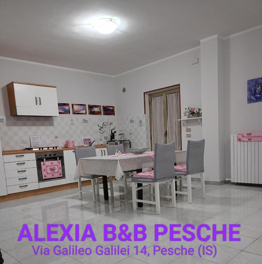 B&B Pesche - ALEXIA B&B PESCHE - Bed and Breakfast Pesche