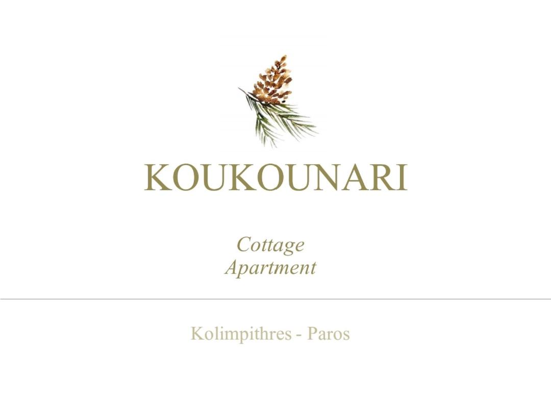 Koukounari Cottage Apartment Paros - B&B Náousa