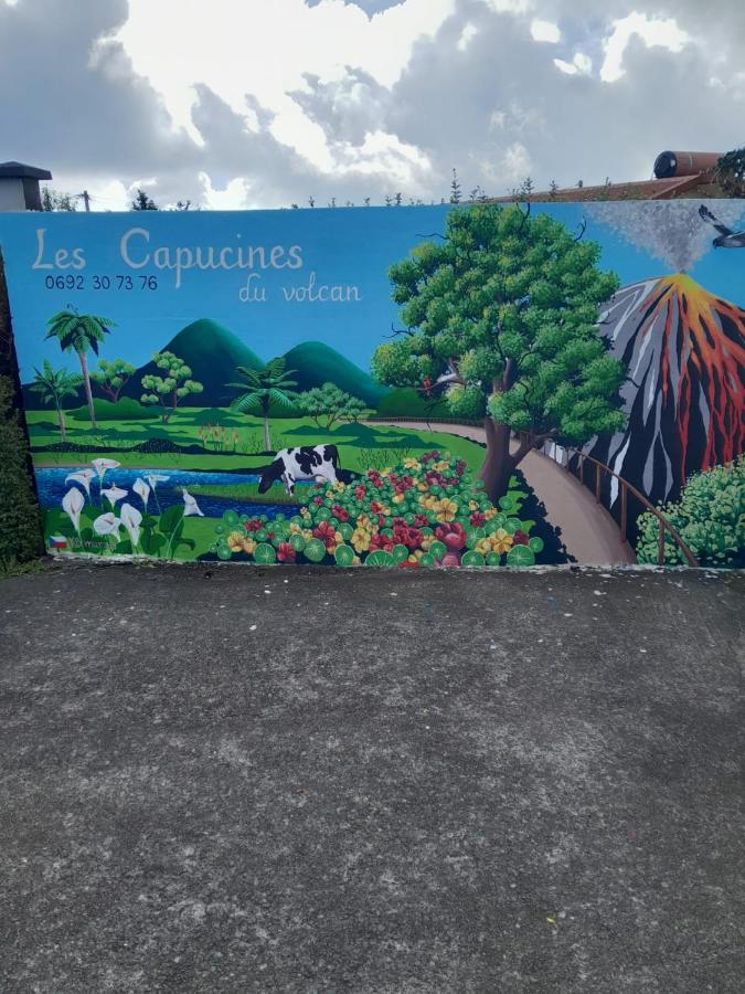 petite chambre vue piton des neiges Les Capucines du volcan - Bed and Breakfast