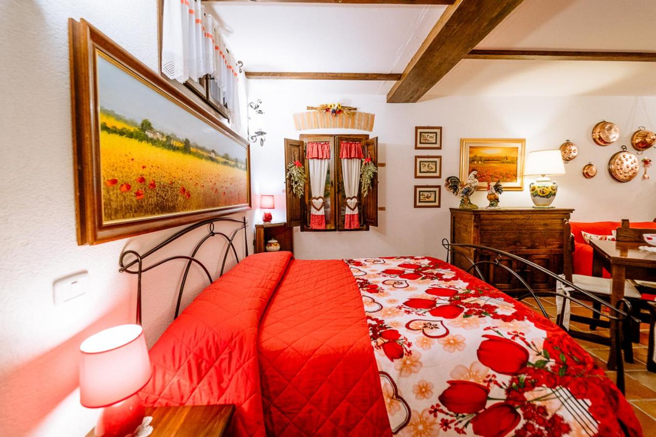 B&B Grosseto - Appartamento Il Papavero Rosso - Bed and Breakfast Grosseto