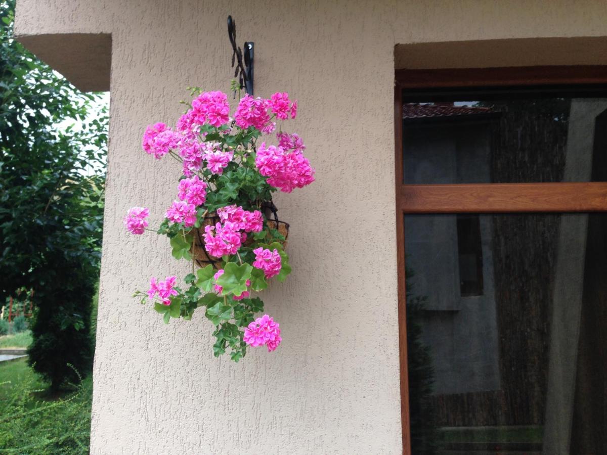 The Lake Villa - B&B Smolyan