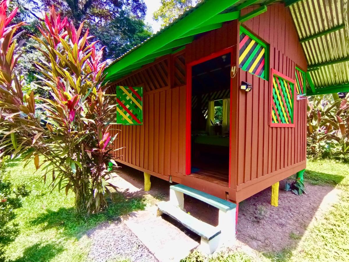 Alouatta Lodge and Canopy - Ferienwohnung
