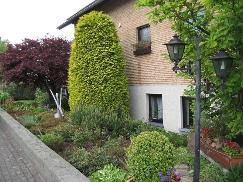 B&B Brilon - Almer Ferienwohnung - Bed and Breakfast Brilon