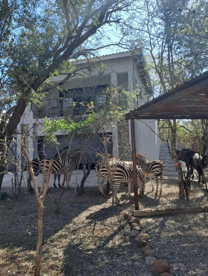 B&B Marloth Park - Giraffe Studio @ Kruger - Bed and Breakfast Marloth Park