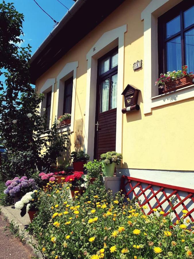 Lotus Apartman - B&B