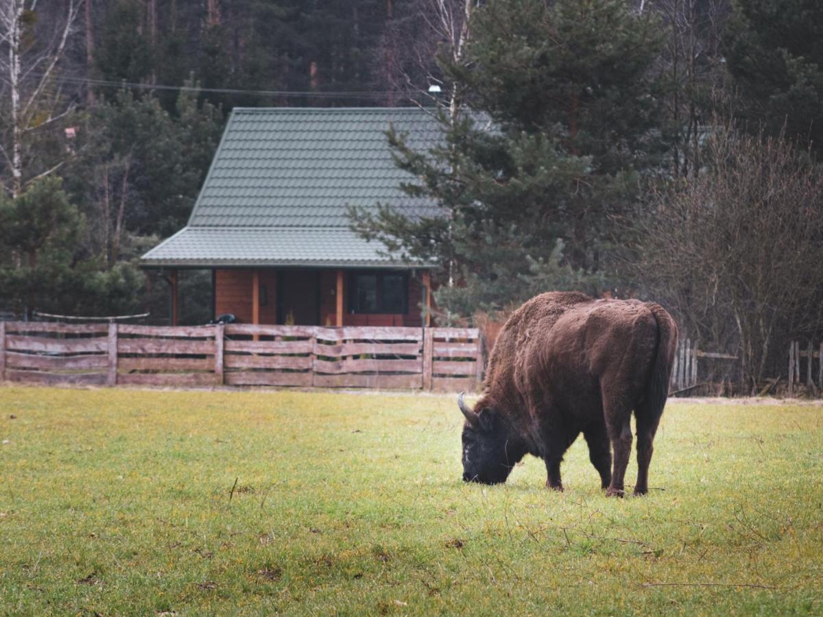 Leśna 21 Dom Północ przy PUSZCZA BIAŁOWIESKA - B&B Łuka