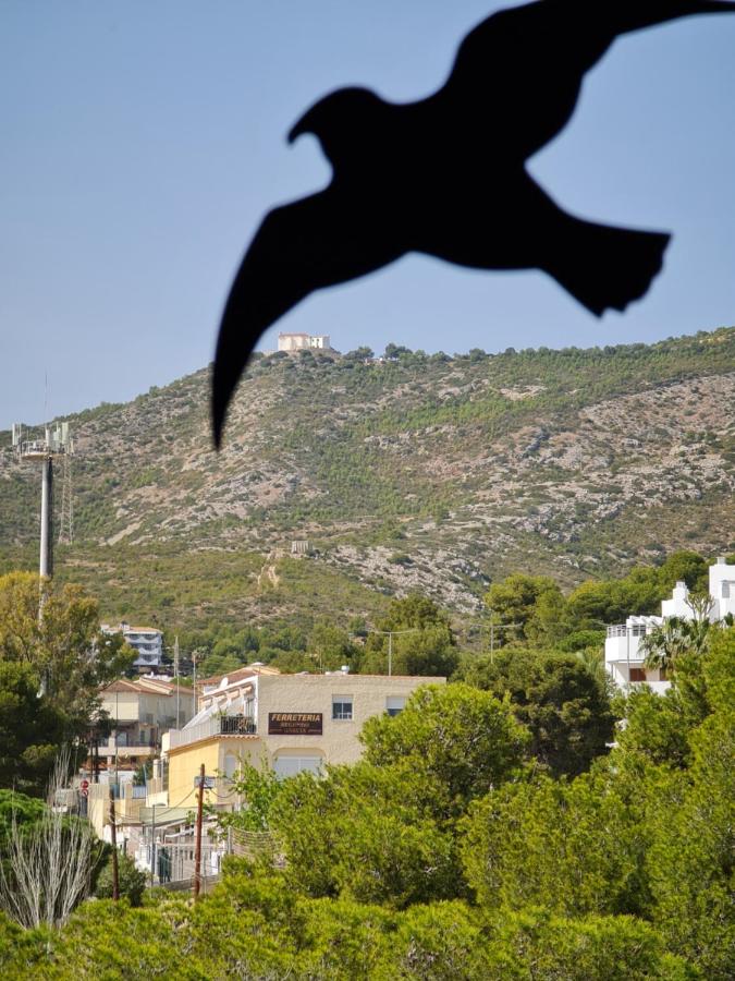 Los Caballos - Bed and Breakfast Alcocéber