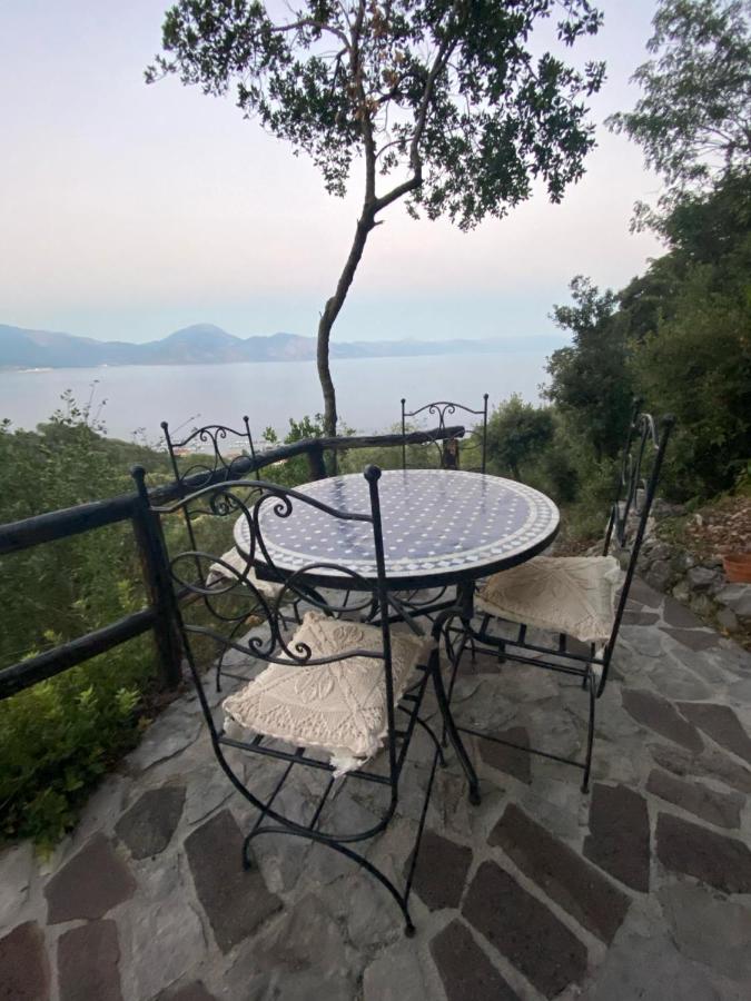 Junior Suite with Sea View