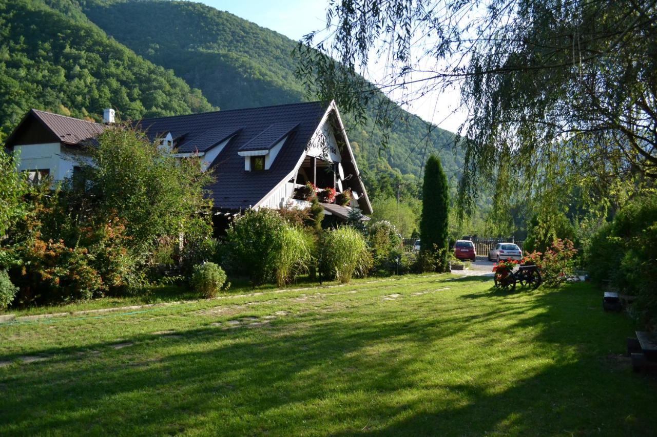 Pensiunea Dumbrăvița - B&B Râu de Mori