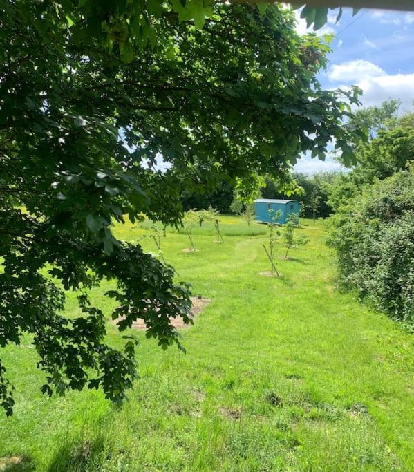 B&B Cambridge - Shepherd Hut with private facilities Newmarket CB8 - Bed and Breakfast Cambridge