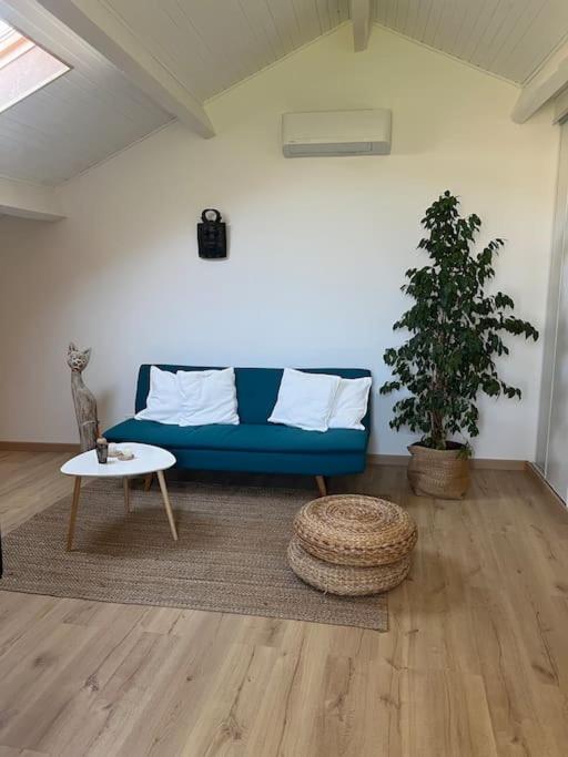 Spacieux studio 2 à 3 personnes avec parking au pied du Ventoux km Zéro - B&B