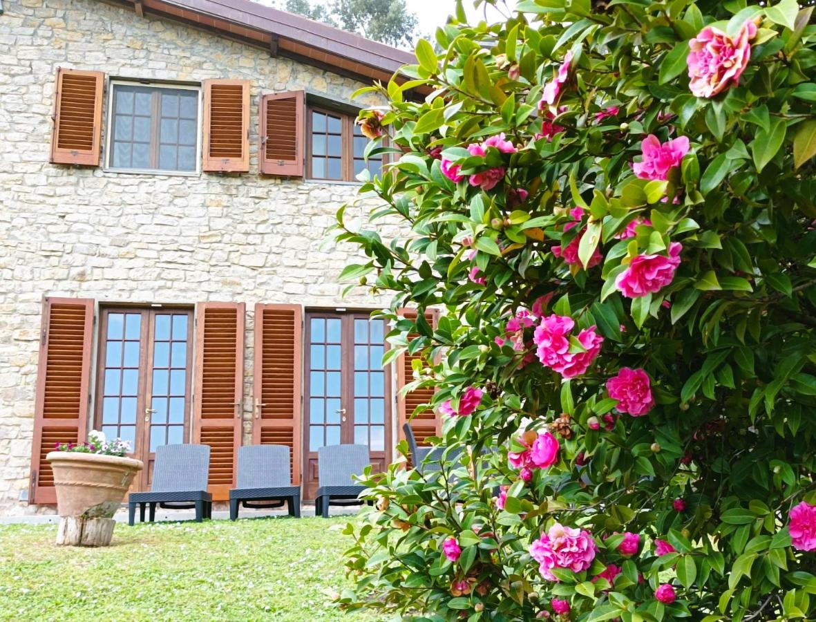 Villa Camelia Tuscany - B&B