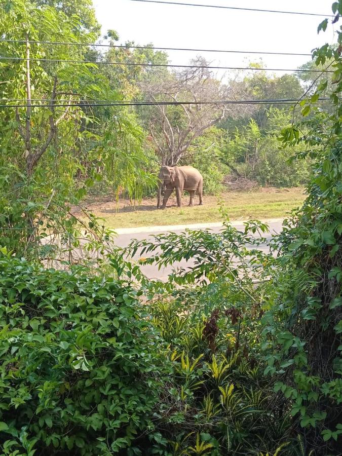 Deluxe Familienzimmer