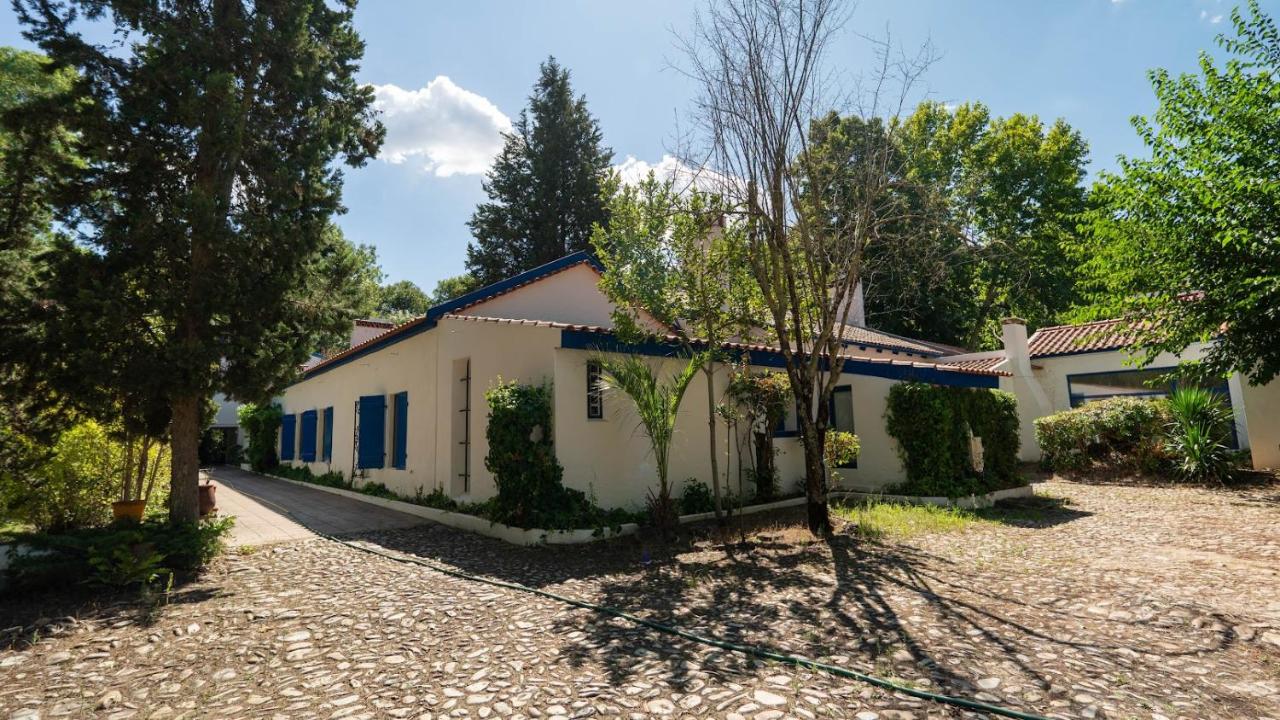 WHome Family Paradise, Exquisite Retreat for Holidays - Chambres d'hôtes São Miguel de Rio Torto
