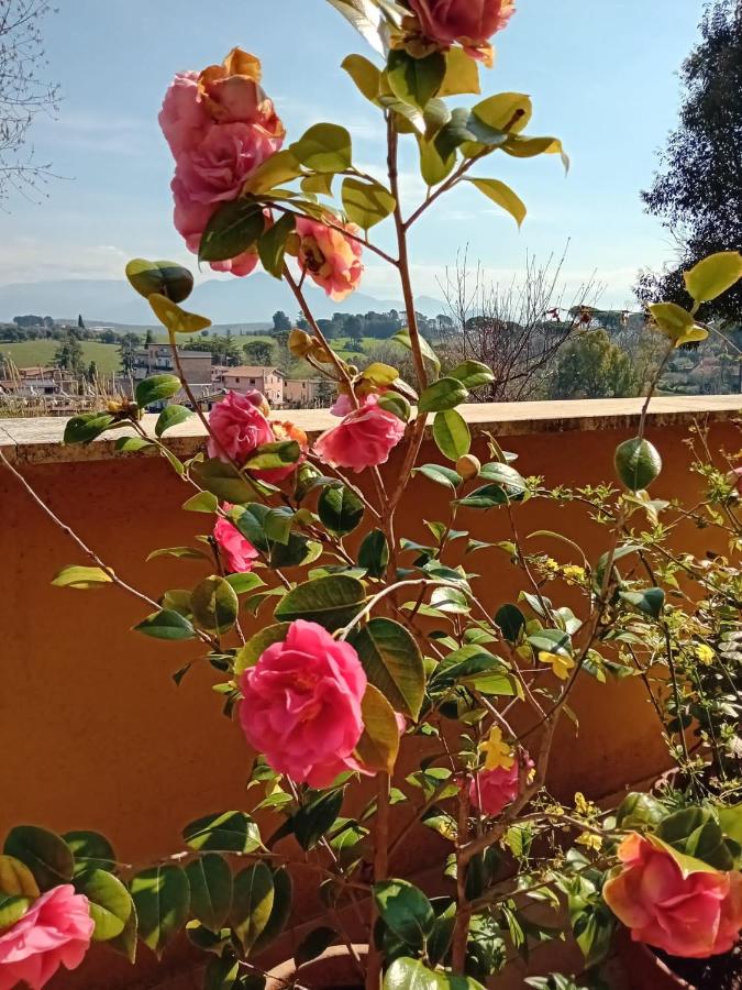 acasadimamma - B&B