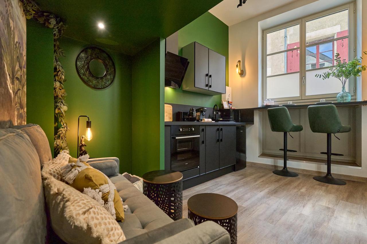 "Little Jungle" appartement Atypique dans le centre ville de Nevers - Chambres d'hôtes Nevers
