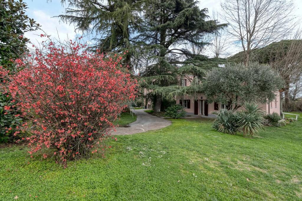 B&B San Lazzaro di Savena - Villa Govi-Pancaldi - Bed and Breakfast San Lazzaro di Savena