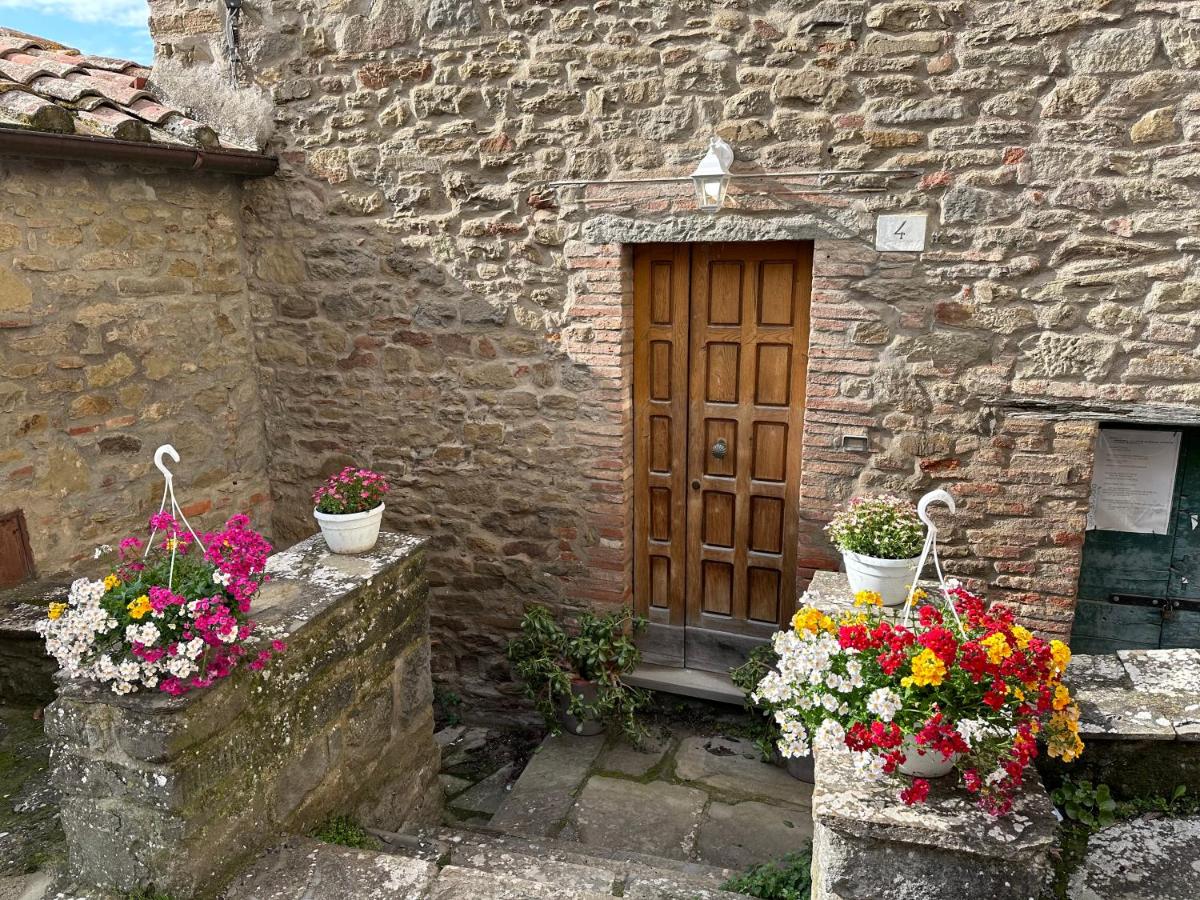 La cantina di Arianna - Bed and Breakfast Cortona